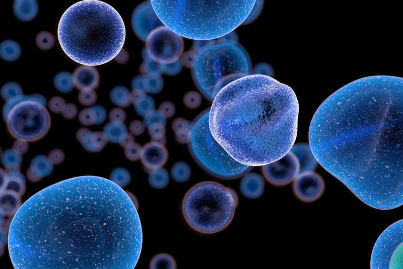 cancer cells graphic
